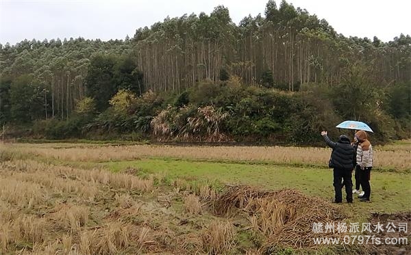 定西市陈老师带着爱徒寻龙点穴